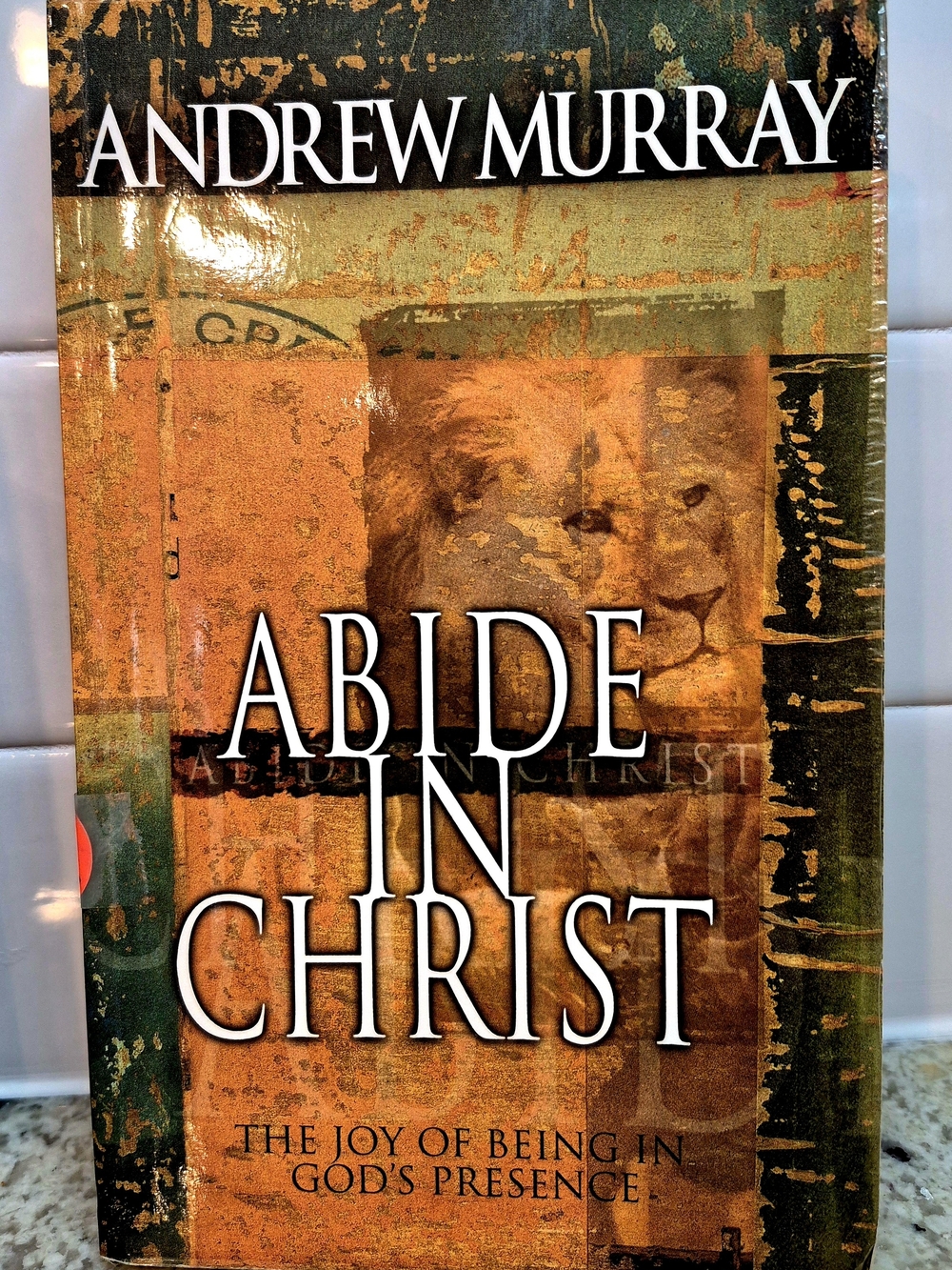 Abide In Christ - Paperback By Andrew Murray - Very Good!
